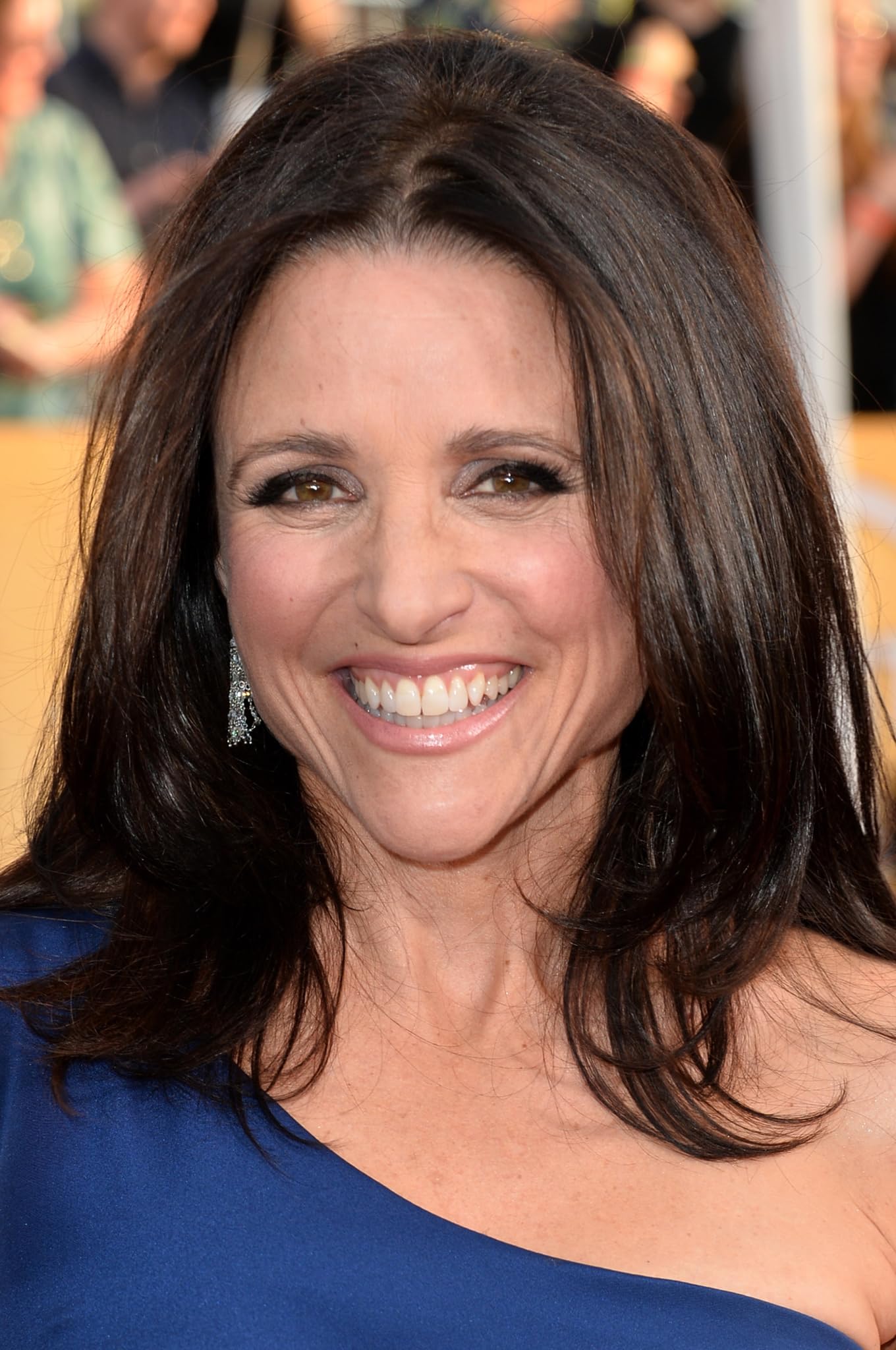 photo-Julia Louis-Dreyfus 2014