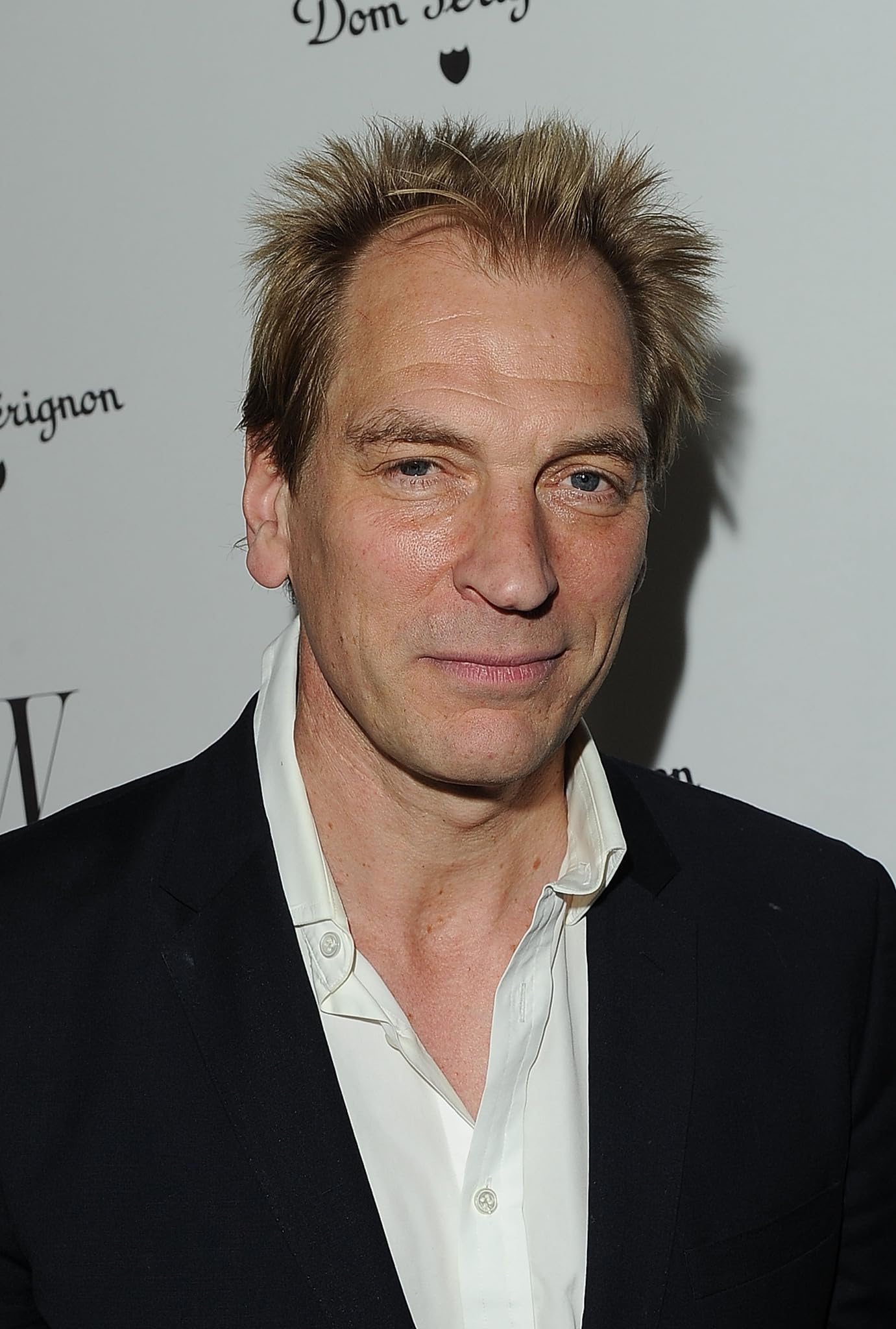 photo-Julian Sands 2013