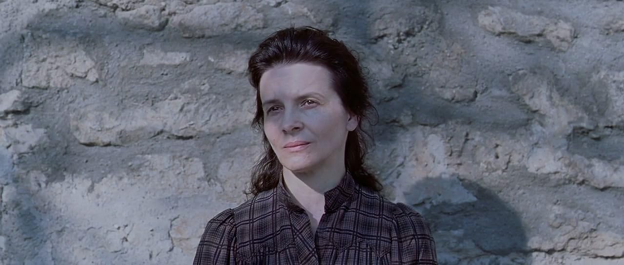 photo-Juliette Binoche 2013