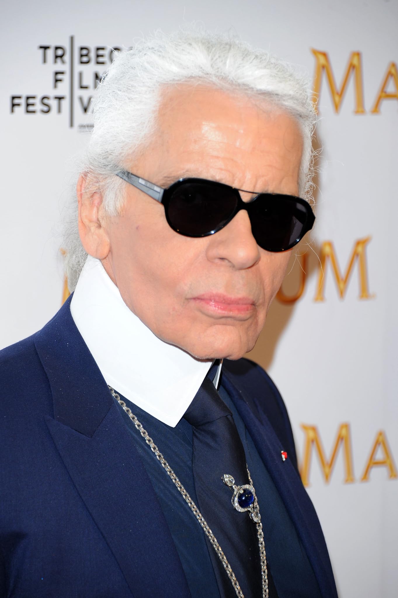 photo-Karl Lagerfeld 2011