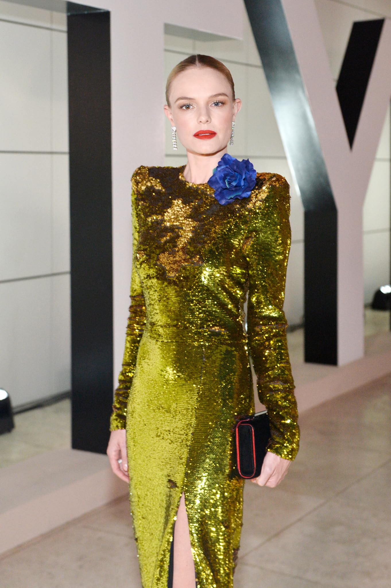 photo-Kate Bosworth 2017