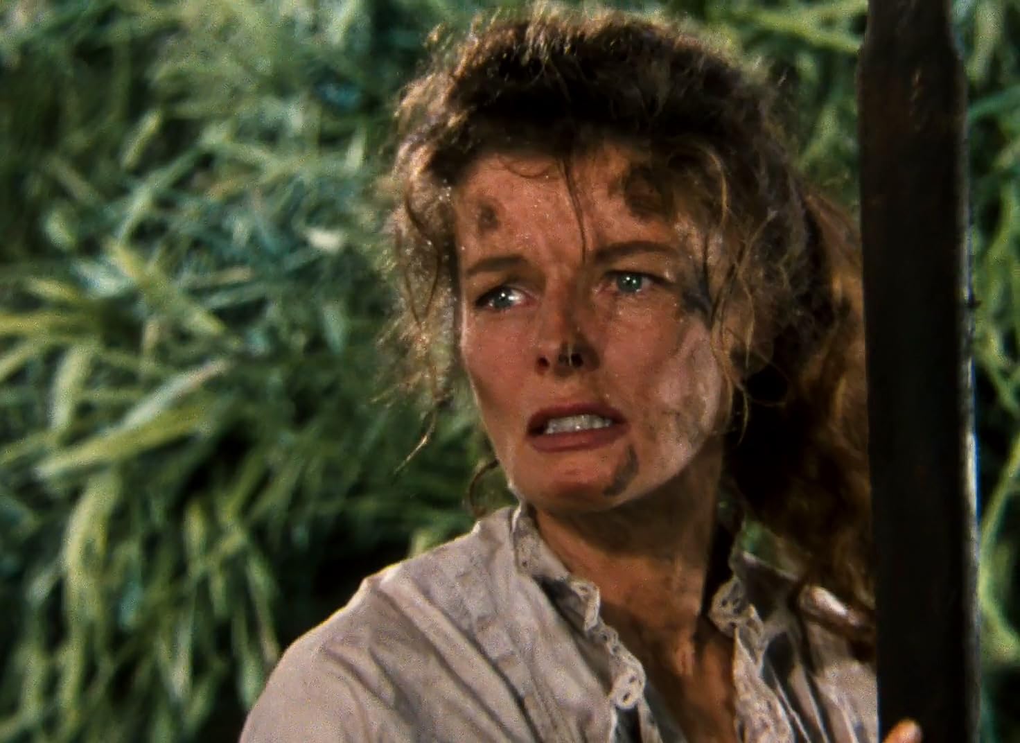 photo-Katharine Hepburn 1951