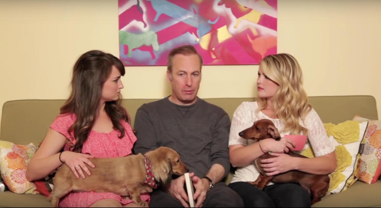 photo-Bob Odenkirk 2011