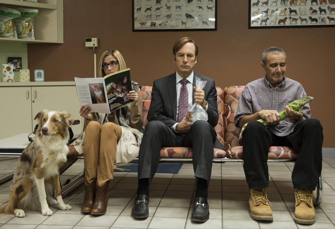 photo-Bob Odenkirk 2015