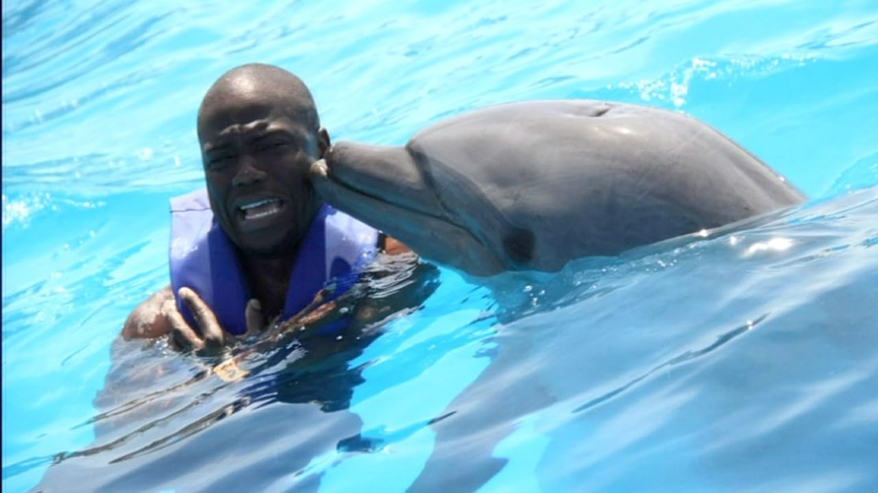 photo-Kevin Hart 2010