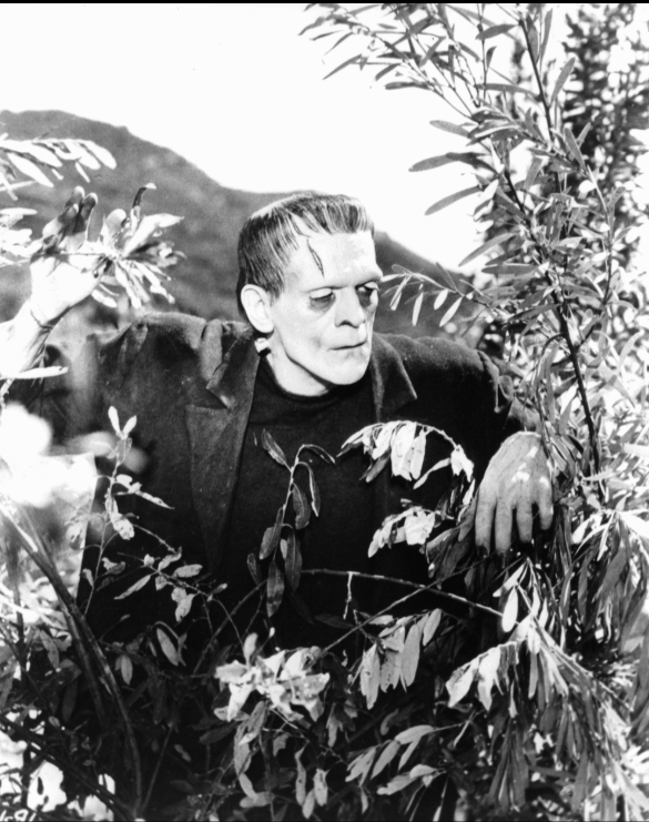 photo-Boris Karloff 1931