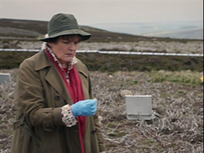 photo-Brenda Blethyn 2011