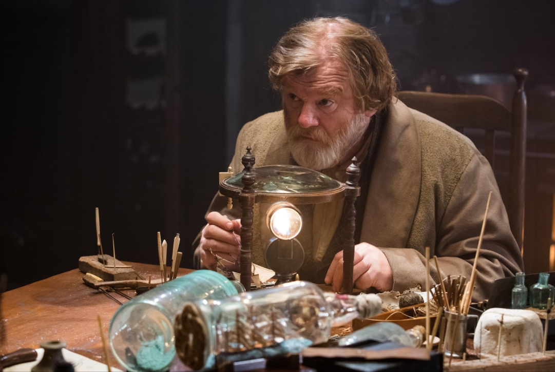 photo-Brendan Gleeson 2015