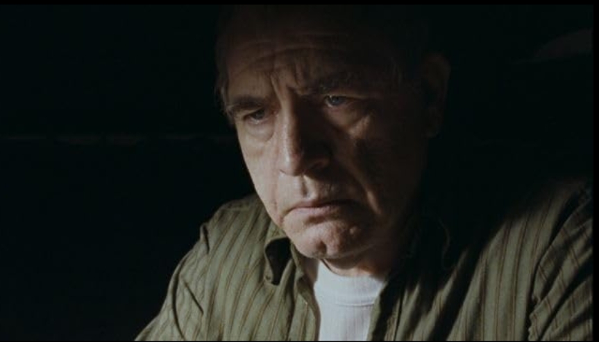 photo-Brian Cox 2008