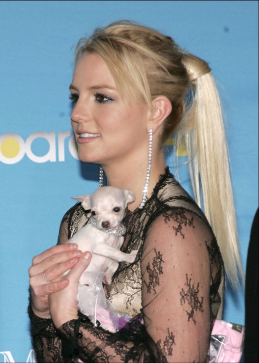 photo-Britney Spears 2001