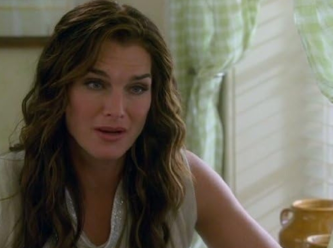 photo-Brooke Shields 2008