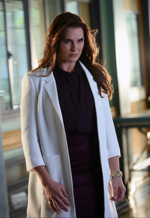 photo-Brooke Shields 2015