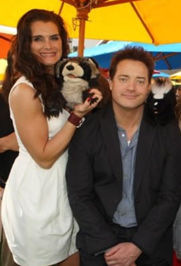 photo-Brooke Shields 2010