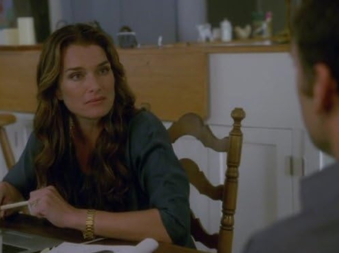 photo-Brooke Shields 2008