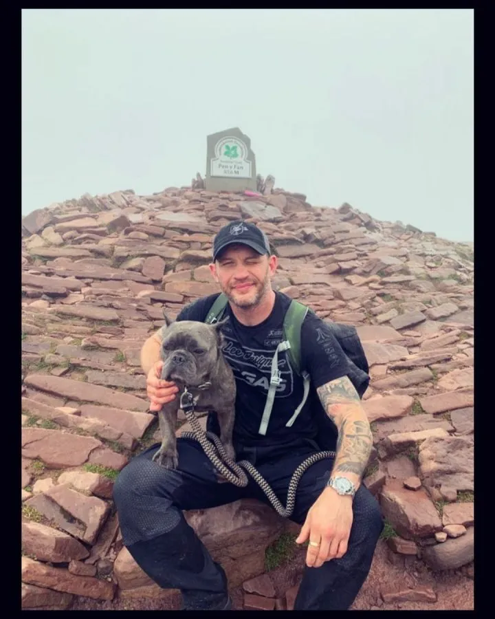 photo-Tom Hardy 2024