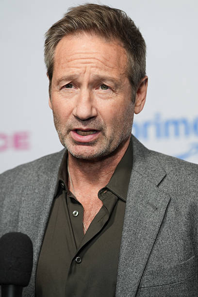 photo-David Duchovny 2025