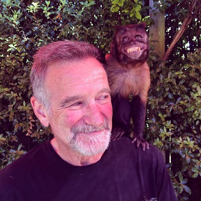 photo-Robin Williams 2014