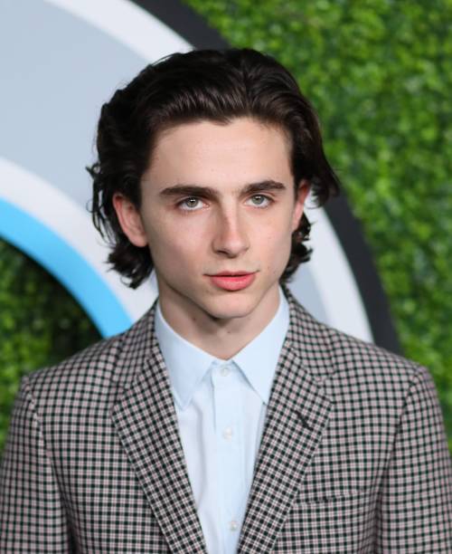 photo-Timothée Chalamet 2017