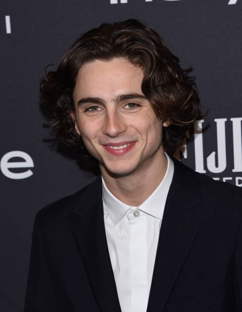 photo-Timothée Chalamet 2017