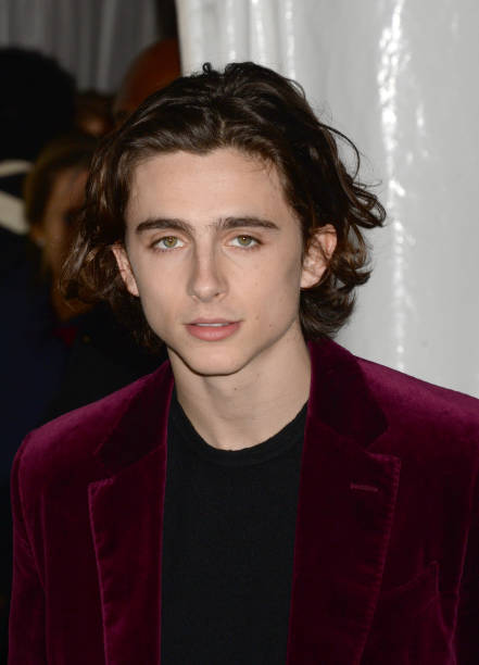 photo-Timothée Chalamet 2015