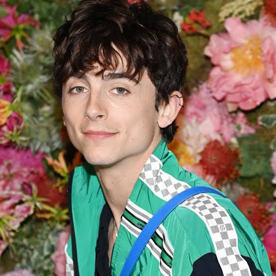 photo-Timothée Chalamet 2012