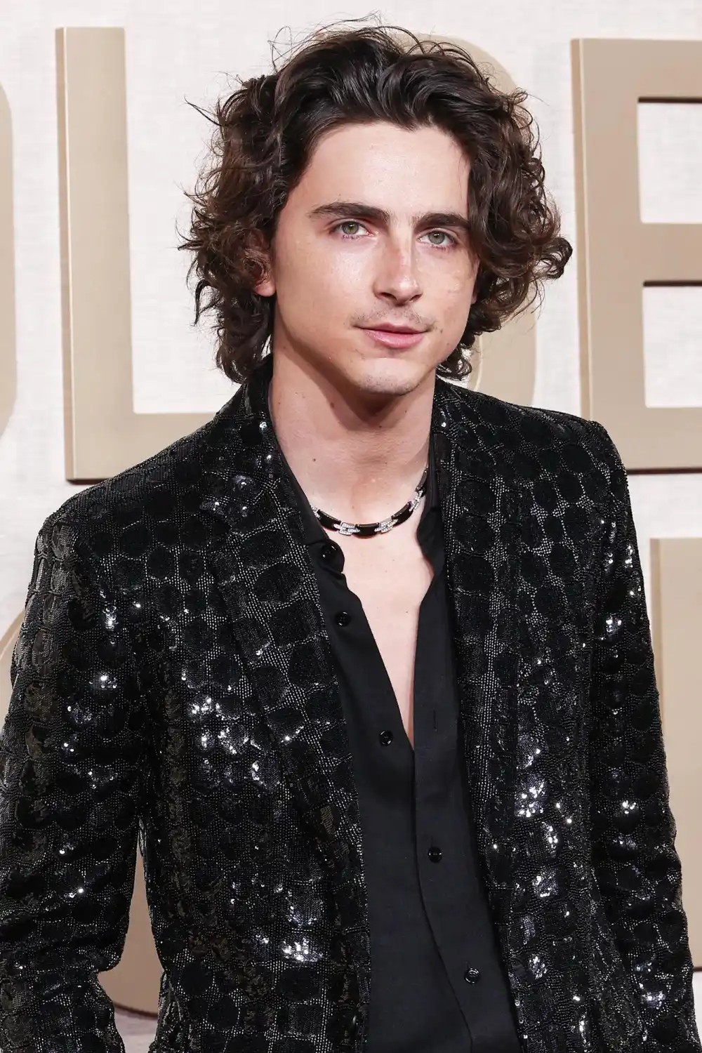 photo-Timothée Chalamet 2024