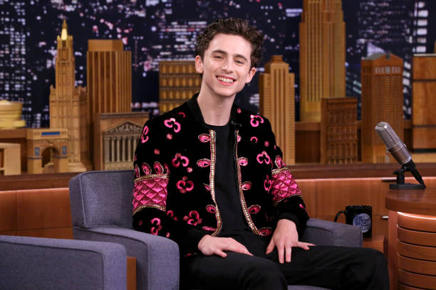 photo-Timothée Chalamet 2018