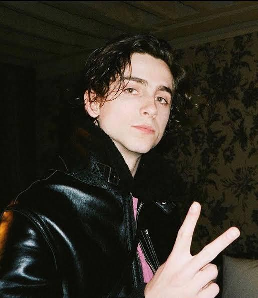 photo-Timothée Chalamet 2020