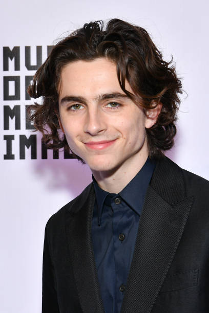 photo-Timothée Chalamet 2017