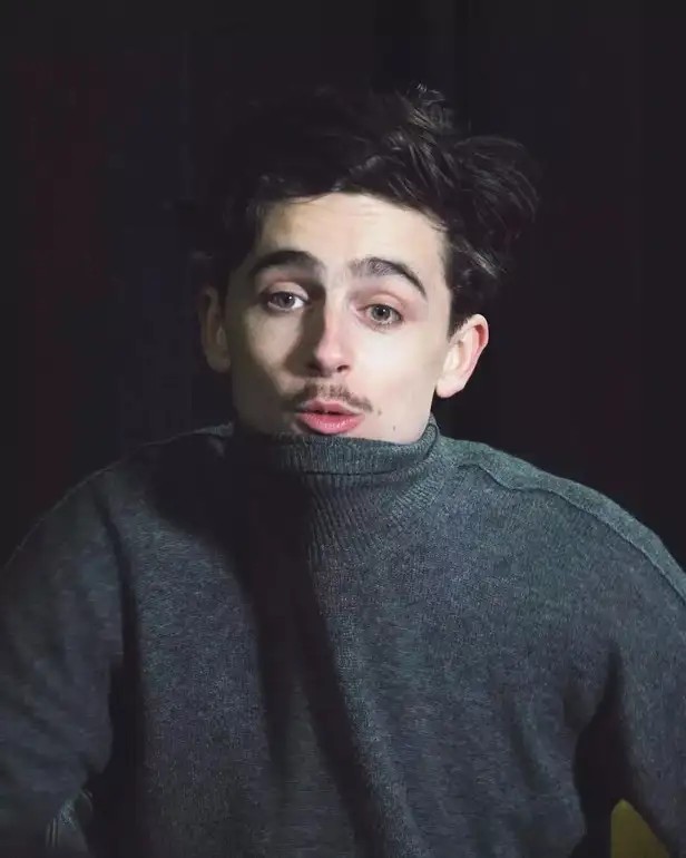 photo-Timothée Chalamet 2020