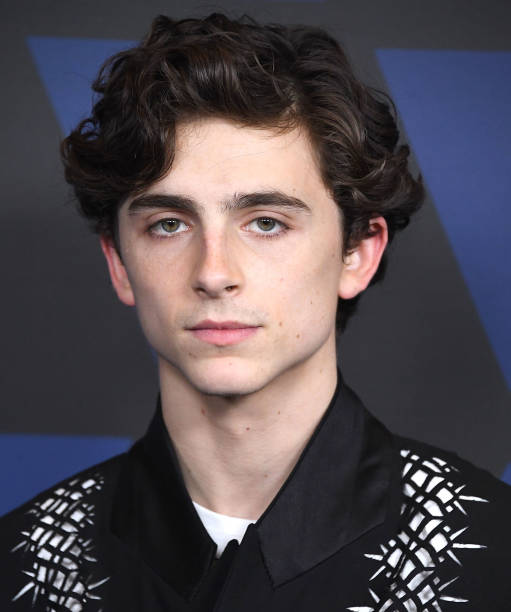 photo-Timothée Chalamet 2018
