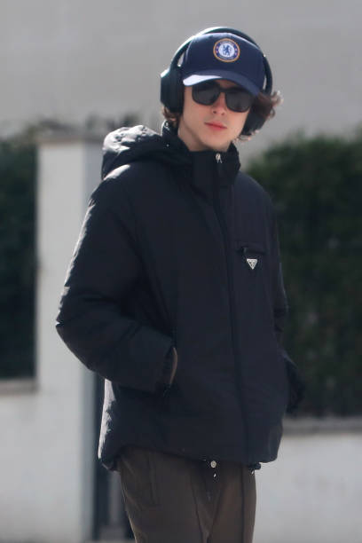 photo-Timothée Chalamet 2020