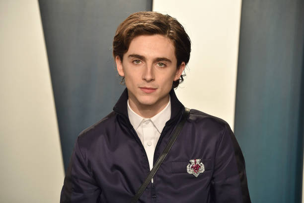 photo-Timothée Chalamet 2020