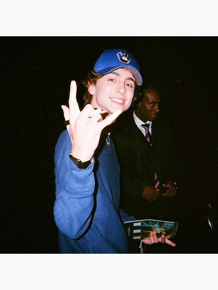 photo-Timothée Chalamet 2018