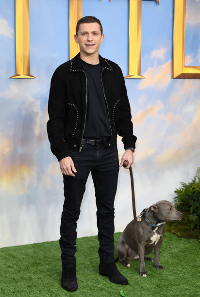 photo-Tom Holland 2020