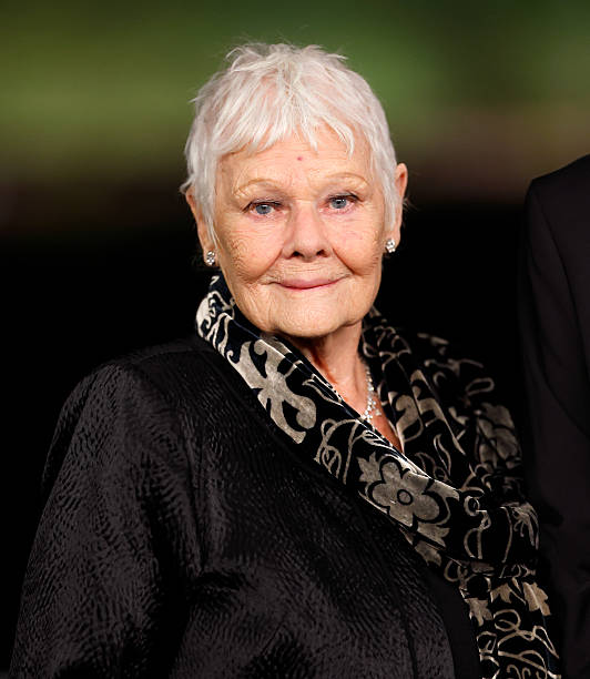 photo-Judi Dench 2026