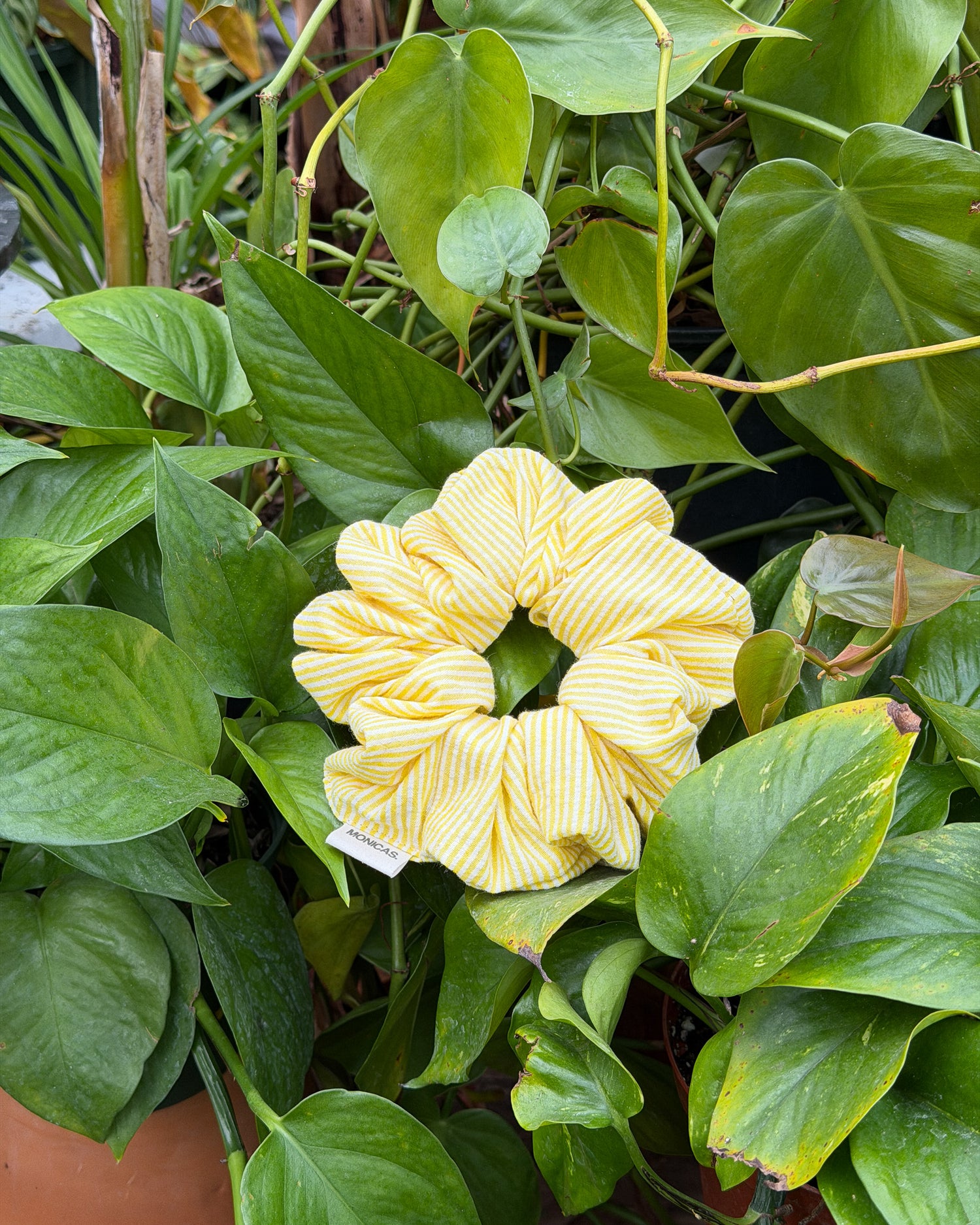 The Butter Yellow Eco-Scrunchie