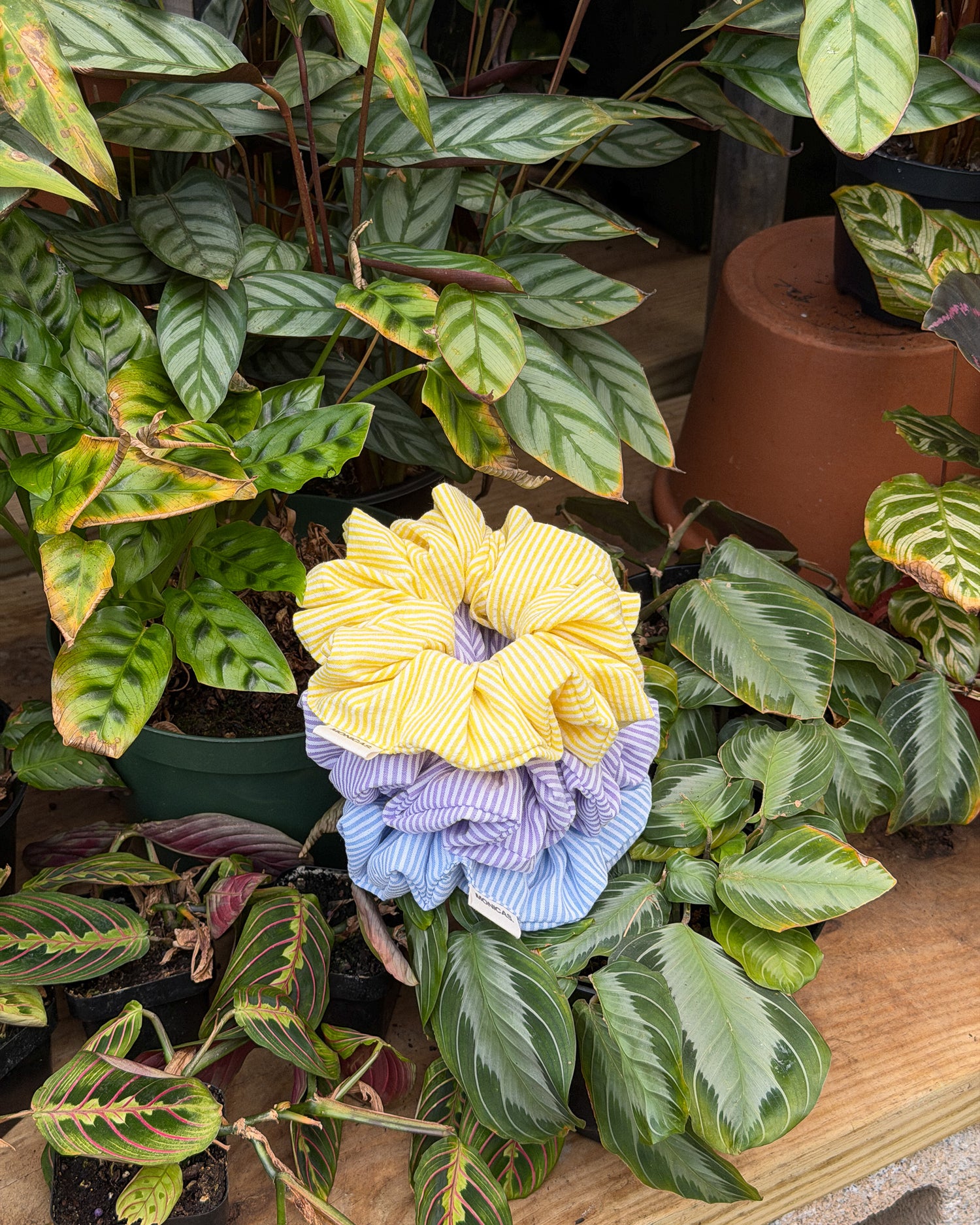The Butter Yellow Eco-Scrunchie