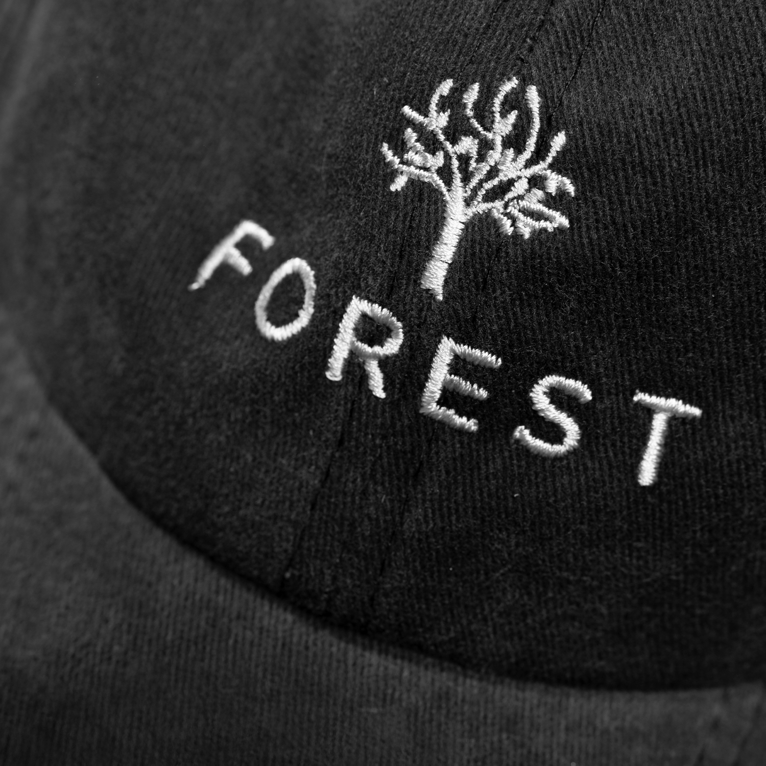 CAP FOREST SUMMER DROP