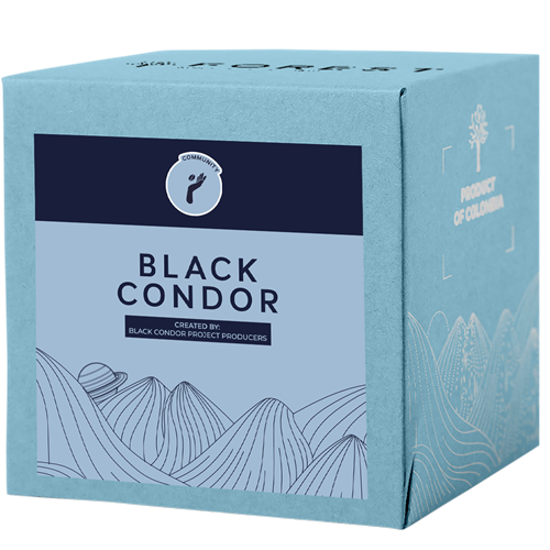 BLACK CONDOR