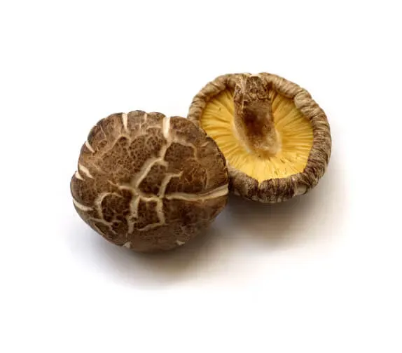 Donko: a thick, rounded cap harvested before it opened, beside a cap turned to show its pale gills.