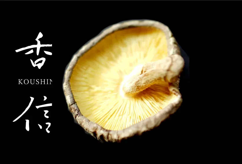 An open-capped koushin dried shiitake shown gill side up on black.