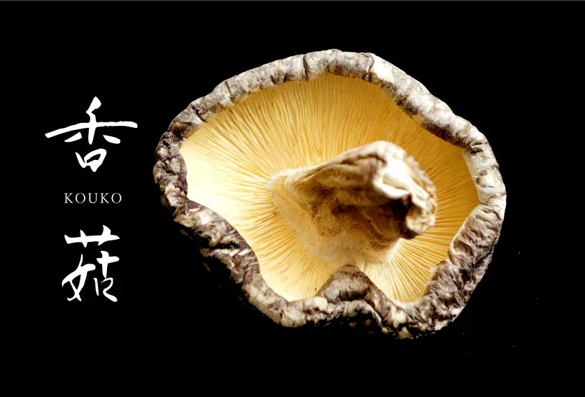 A large kouko dried shiitake shown gill side up, its cap edge curled, on black.