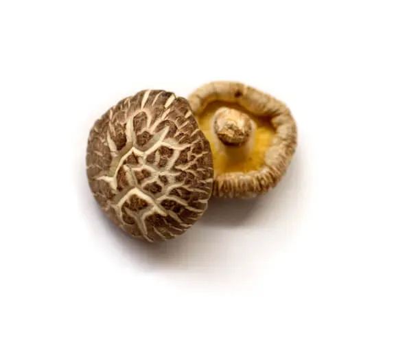 Tenpaku: a donko cap whose surface has cracked into a pale lattice, beside a cap turned to show its gills.