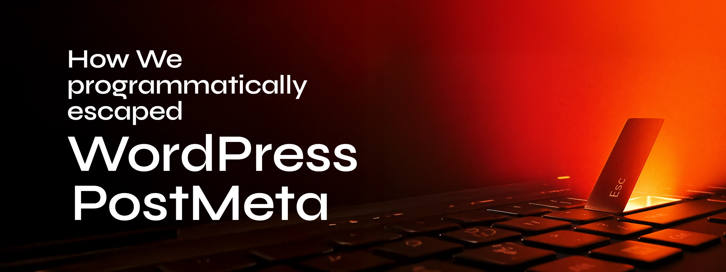 Blog Banner