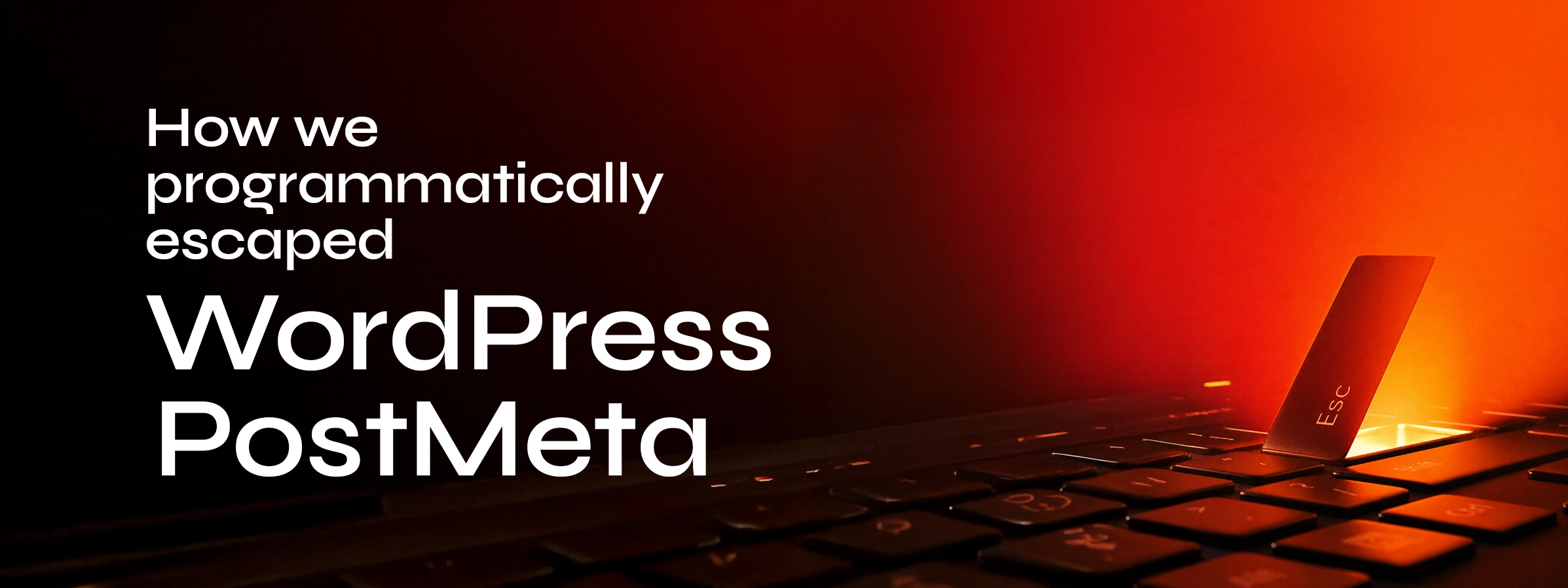 Blog Banner