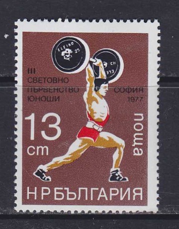 N133867