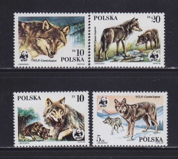 N157883