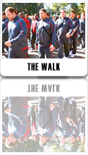 lower-nav-traditions-thewalk.png