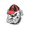 ncaa-georgia.gif